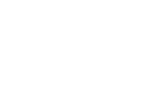 Tiffin Touring Society Logo